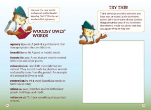 PDF preview of the activity from All About Forests