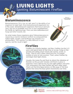The first page of Living Lights: Spotting Bioluminescent Fireflies
