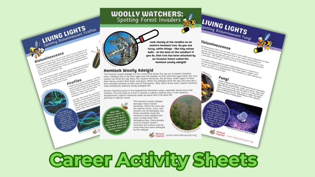 A fan of three career activity sheets