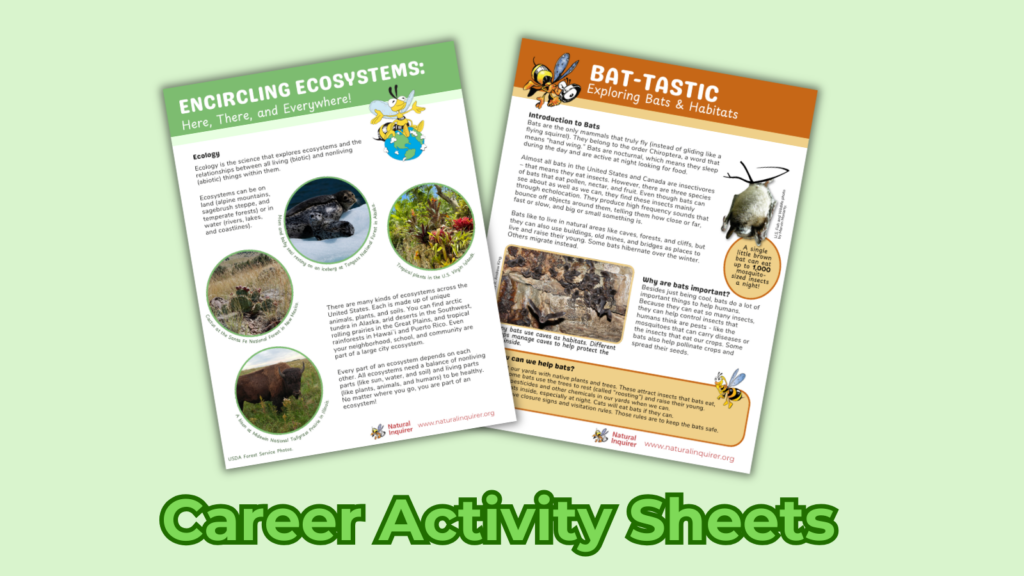 Career Activity Sheets: the covers of Encircling Ecosystems and Bat-tastic