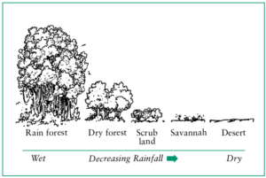 AN illustration showing different vegetation in different percipitation ranges