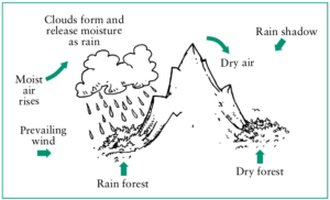 Illustration of a water cycle over a mountain