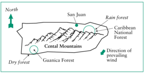 An illustration of Puerto Rico with the location of Guanico forest highlighted