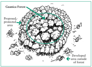 An illustration of the proposed protected area