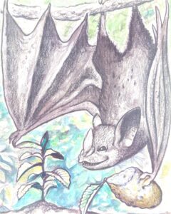 Illustration of a bat with a tree seed