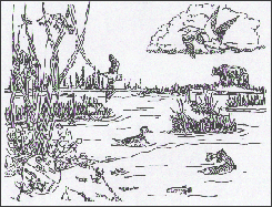 Drawing of a march landscape