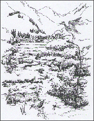 Drawing of a stream river corridor