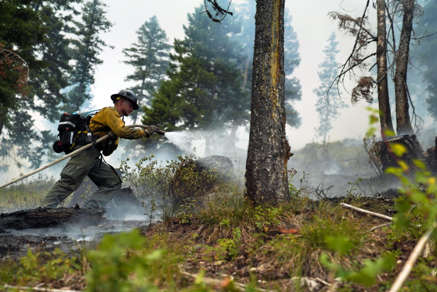 A firefighter using a water hose in a forest fire