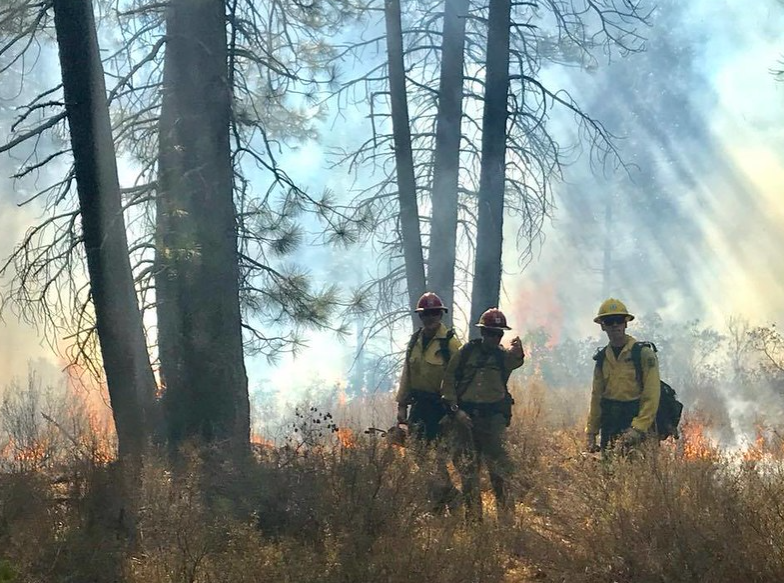 Firefighters in a forest with moderate smoke around them