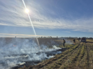 Firefighters starting a prescribed burn