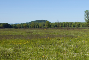A prairie