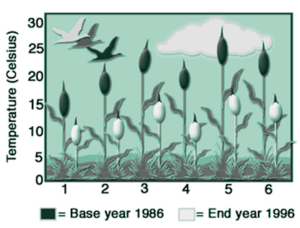 A graph showing water temperature changes in six area.