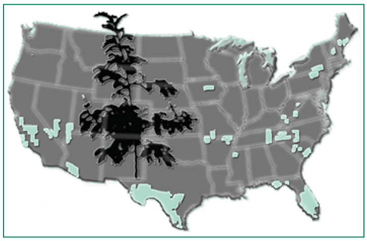 Map of the United States where there is likely to be the greatest increase in threatened and endangered plant species by the year 2020.