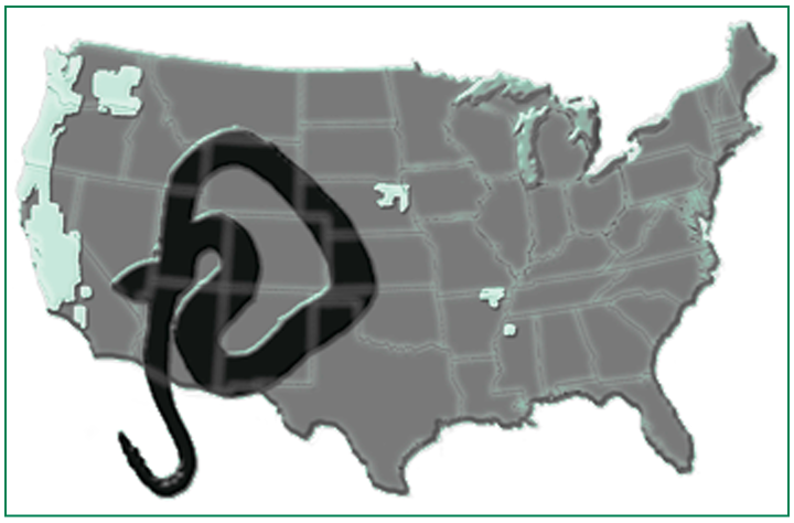 A map of the U.S. showing where there is likely to be the greatest increase in threatened and endangered animal species by the year 2020.