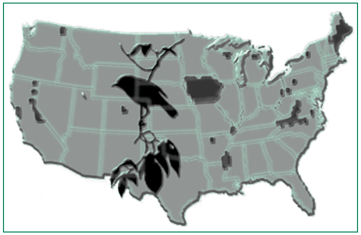 A map of the U.S. showing Areas of the United States where there is likely to be the greatest decrease in native breeding birds by the year 2020.