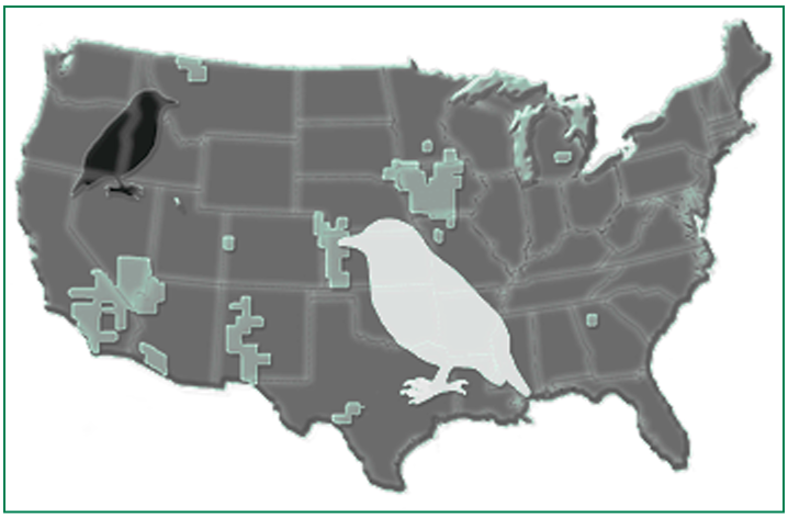 A map of the U.S. showing the areas of the United States where there is likely to be the greatest increase in nonnative birds by the year 2020.