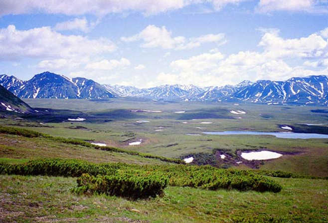 Grassy valley with mountains in the back