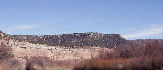 A mountain with small shrubs on it