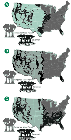 Maps of the U.S. with current location of the vegetation types across 48 states and the different possible future climates.
