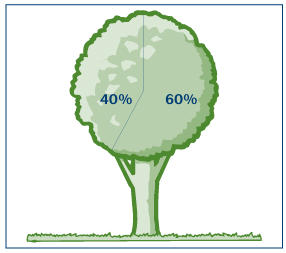 A graphic of a tree being used as a pie chart showing a 60/40 percent tree coverage