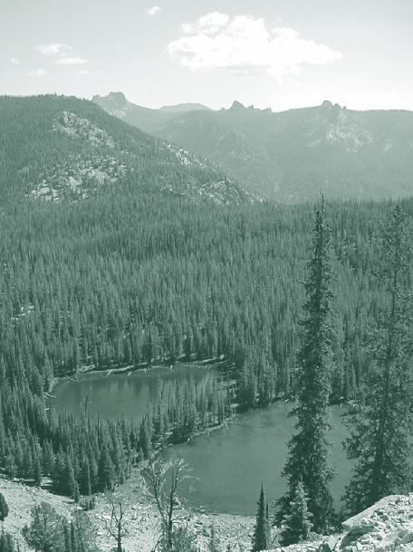 Mountains in the background with two basin in the foreground with many trees