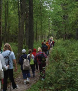 People hiking on a trail