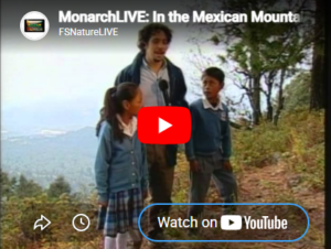 Thumbnail of the video
