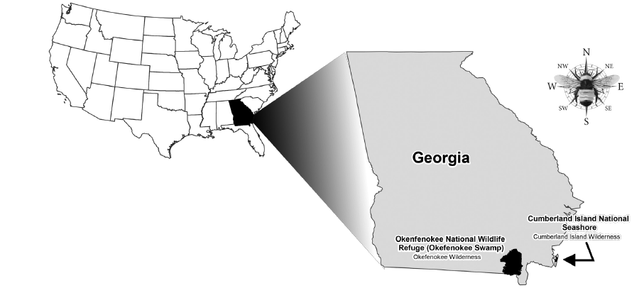 A map of the United States highlighting the state of Georgia