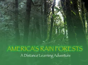 America's Rain Forest thumbnail