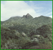 EL Yunque mountain