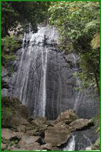 A waterfall