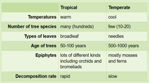 Chart showing relationship between precipitation and climate