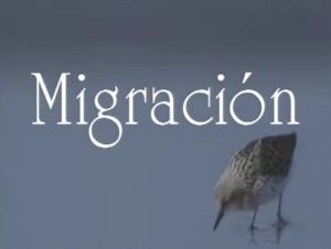 River Delta thumbnail in Spanish