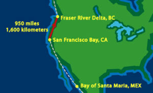 Map to Frazier RIver