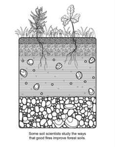 Advanced Fire Scientists coloring book fire and soil PDF preview