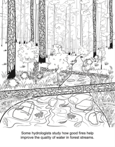 Advanced Fire Scientists coloring book fire and water quality PDF preview