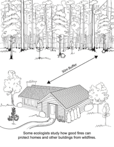 Advanced Fire Scientists coloring book fire protection PDF preview