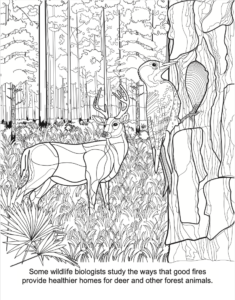 Advanced Fire Scientists coloring book fire and animal homes PDF preview