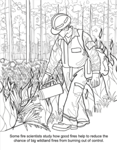 Advanced Fire Scientists coloring book prescribed fire and wildland fire control PDF preview