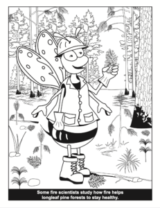 Bee a Fire Scientist Coloring Book Fire and Plant Health PDF preview