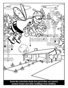 Bee a Fire Scientist Coloring Book Fire Protection PDF preview