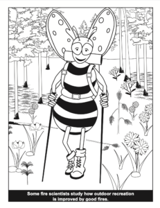 Bee A Fire Scientist Fire and Outdoor Recreation PDF Preview