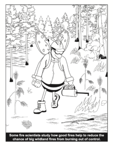 Bee a Fire Scientist Prescribed Fire and Wildland Fire Control PDF Preview