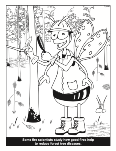 Bee a Fire Scientist Coloring Book Tree Disease PDF Preview