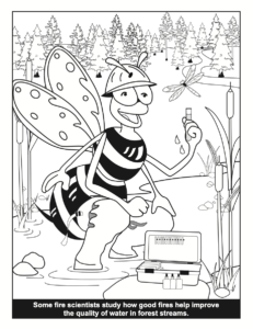 Bee a Fire Scientist Coloring Book Fire and Water Quality PDF preview