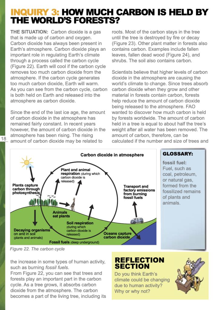 The first page of the lesson plan titled "How much carbon is held by the world's forests?". The page has an illustration showing the process of carbon dioxide in the atmosphere.
