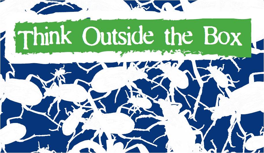 FACTivity - Thinking Outside the Box - Natural Inquirer