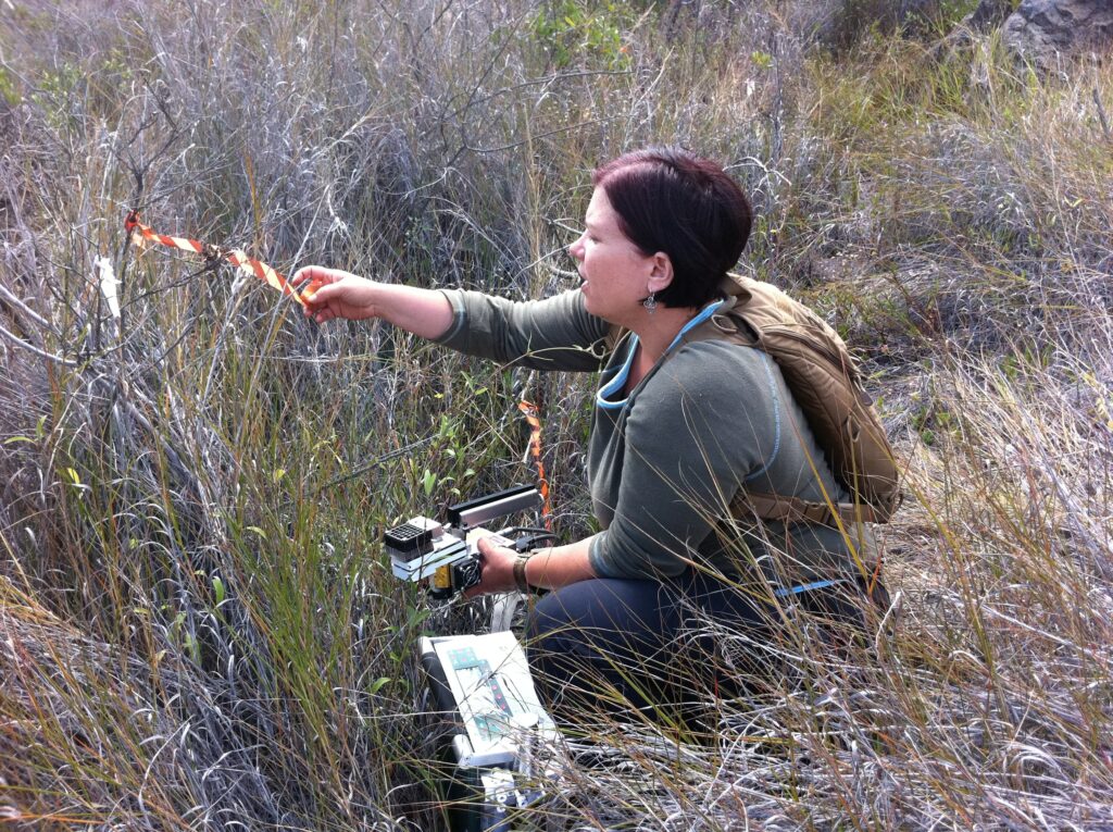 Photo of Amanda Uowolo kneeling in a tall grassy area.