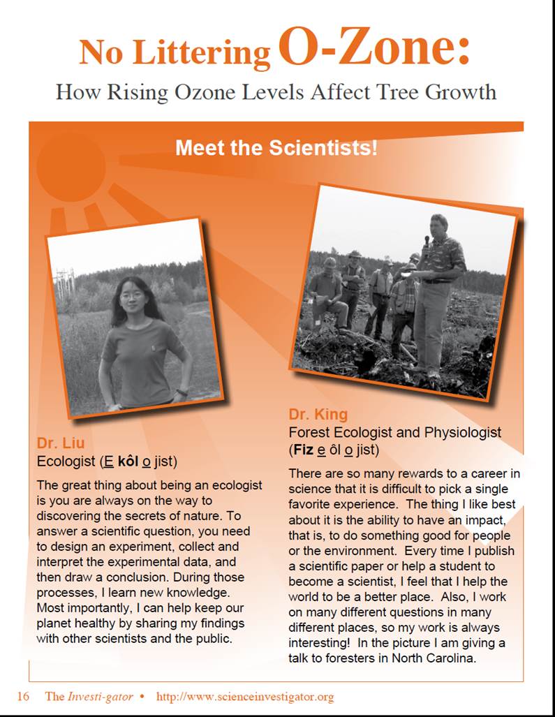 No Littering OZone How Rising Ozone Levels Affect Tree Growth