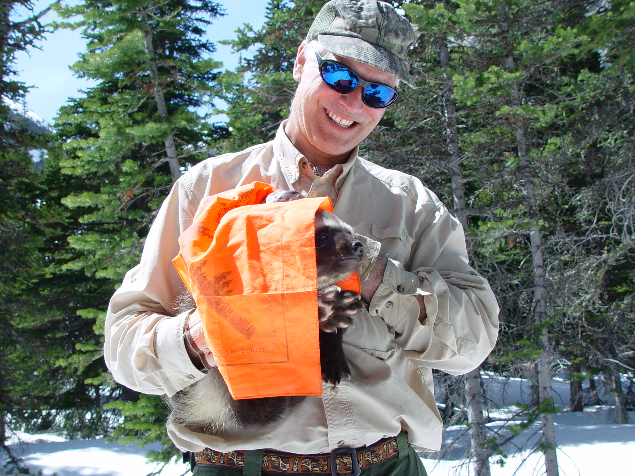Dr. Kevin McKelvey holding a wolverine kit in a snowy forest
